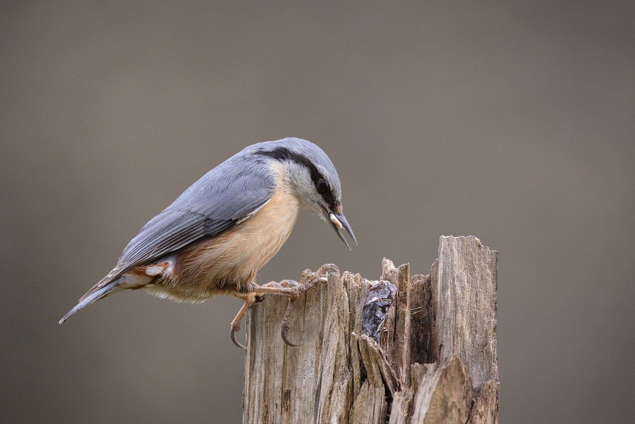 How to Take Beautiful Photos of Natural Wonders